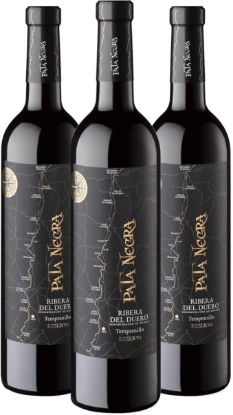 Imagem de pata negra